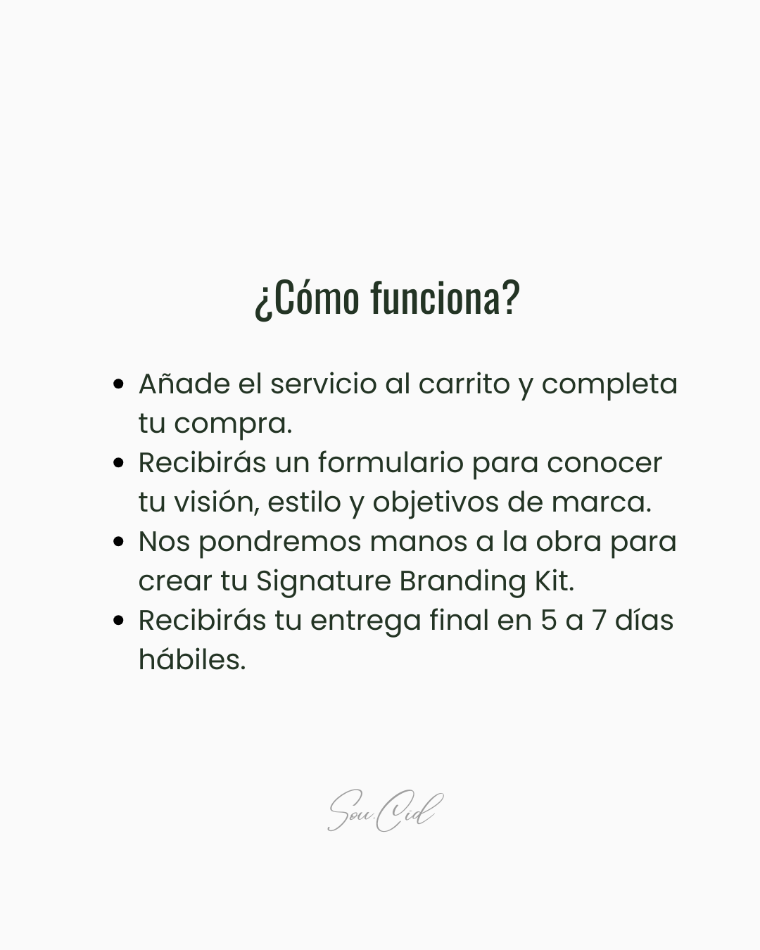 ✨Signature Branding Kit ✨