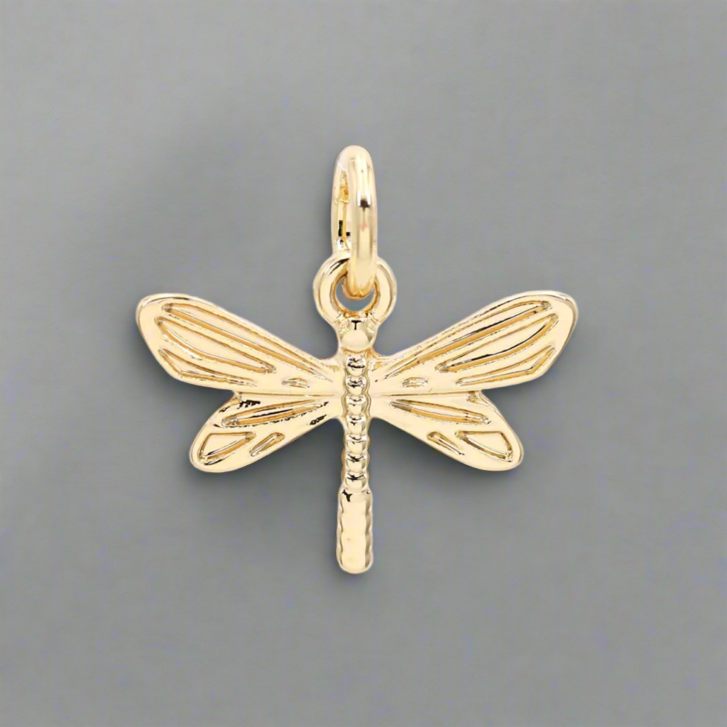 Wings Of Dragonfly, Charm